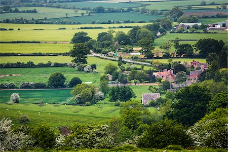 Farmland, Chipping Campden, Gloucestershire, Cotswolds, England, United Kingdom Photographie de stock - Rights-Managed, Code: 700-08145791