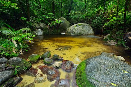 forêt tropical - Creek, Daintree Rainforest, Mossman Gorge, Daintree National Park, Queensland, Australia Photographie de stock - Rights-Managed, Code: 700-08146050