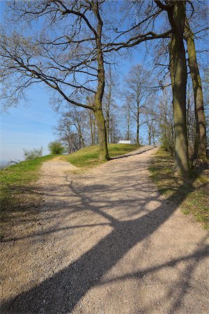 strassengabelung - Forked Path, Staatspark Furstenlager, Bensheim, Odenwald, Hesse, Germany Stockbilder - Lizenzpflichtiges, Bildnummer: 700-08146234