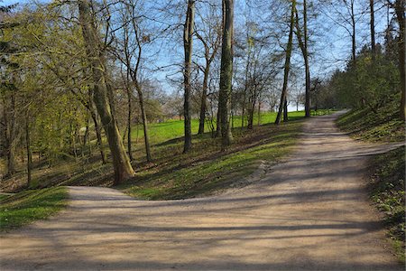 encrucijada - Forked Gravel Path, Staatspark Furstenlager, Bensheim, Odenwald, Hesse, Germany Foto de stock - Con derechos protegidos, Código: 700-08146230