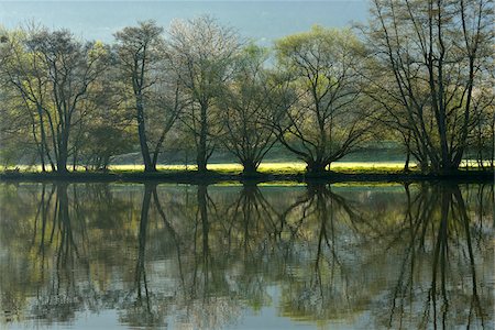 Trees Reflecting in River Main in Spring, Collenberg, Lower Franconia, Spessart, Miltenberg District, Bavaria, Germany Stockbilder - Lizenzpflichtiges, Bildnummer: 700-08146240