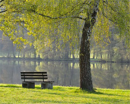 Birch Tree with Bench by River Main in Spring, Collenberg, Lower Franconia, Spessart, Miltenberg District, Bavaria, Germany Stock Photo - Rights-Managed, Code: 700-08146259