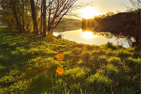 Landscape with Sun and River Main on Spring Morning, Collenberg, Lower Franconia, Spessart, Miltenberg District, Bavaria, Germany Foto de stock - Con derechos protegidos, Código: 700-08146263