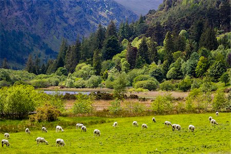 simsearch:649-07239641,k - Glendalough, monastic settlement, Wicklow, Ireland Photographie de stock - Rights-Managed, Code: 700-08146309