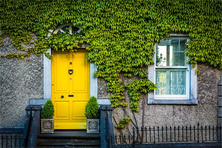 Close-up of ivy covered house with yellow door, Kilkenny, Ireland Foto de stock - Con derechos protegidos, Código: 700-08146316