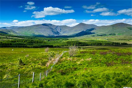 simsearch:700-08146406,k - Scenic view of fields and mountains along the Ring of Kerry, County Kerry, Ireland Stock Photo - Rights-Managed, Code: 700-08146374