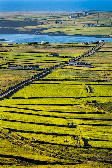 Road and scenic overview of farmland, Portmagee, along the Skellig Coast on the Ring of Kerry, County Kerry, Ireland Stock Photo - Premium Rights-Managed, Artist: R. Ian Lloyd, Image code: 700-08146397