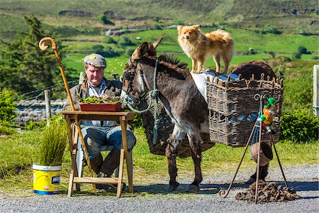 rural scene table - Shepherd sitting at the side of the road with donkey, near Glenbeigh along the Skellig Coast on the Ring of Kerry, County Kerry, Ireland Stock Photo - Rights-Managed, Code: 700-08146426