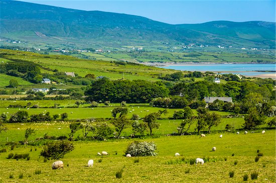 Scenic overview, near Kilcummin, County Kerry, Ireland Stock Photo - Premium Rights-Managed, Artist: R. Ian Lloyd, Image code: 700-08146459