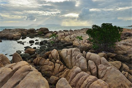 queensland - Granite Coastline in the Morning, Horseshoe Bay, Bowen, Queensland, Australia Photographie de stock - Rights-Managed, Code: 700-08146488