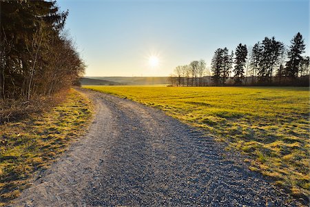 salida del sol - Gravel Path at Sunrise in Spring, Gottersdorf, Neckar-Odenwald-District, Odenwald, Baden Wurttemberg, Germany Foto de stock - Con derechos protegidos, Código: 700-08146496