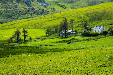 Duntulm, Trotternish, Isle of Skye, Scotland, United Kingdom Photographie de stock - Rights-Managed, Code: 700-08167280