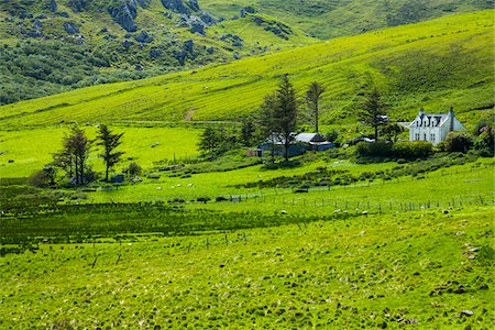 Duntulm, Trotternish, Isle of Skye, Scotland, United Kingdom Stock Photo - Rights-Managed, Code: 700-08167280