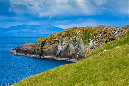 scotland sheep - Duntulm, Trotternish, Isle of Skye, Scotland, United Kingdom Stock Photo - Rights-Managed, Code: 700-08167282