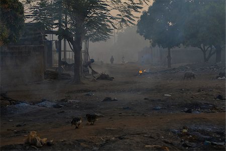 suidae - Street scene of town with smog in early morning, with pig and ducks, Gaoua, Poni Provnice, Burkina Faso Stock Photo - Rights-Managed, Code: 700-08169186
