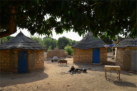 Courtyard with houses in village with pig walking by, near Gaoua, Poni Province, Burkina Faso Foto de stock - Con derechos protegidos, Código: 700-08169182
