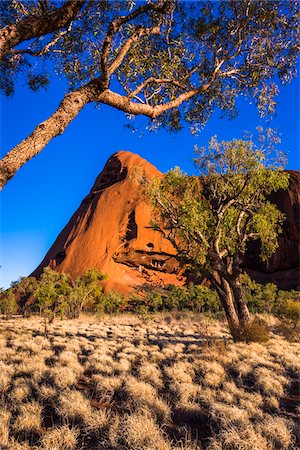 red centre - Uluru (Ayers Rock), Uluru-Kata Tjuta National Park, Northern Territory, Australia Photographie de stock - Rights-Managed, Code: 700-08200969