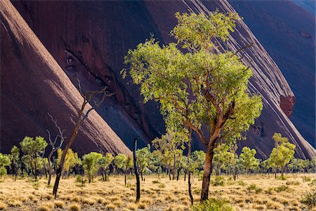 rock - Uluru (Ayers Rock), Uluru-Kata Tjuta National Park, Northern Territory, Australia Stock Photo - Rights-Managed, Code: 700-08200970