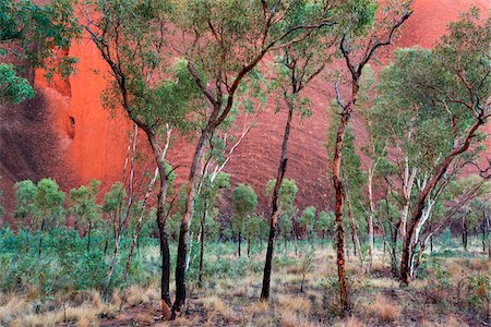 simsearch:855-08536238,k - Uluru (Ayers Rock), Uluru-Kata Tjuta National Park, Northern Territory, Australia Photographie de stock - Rights-Managed, Code: 700-08200972