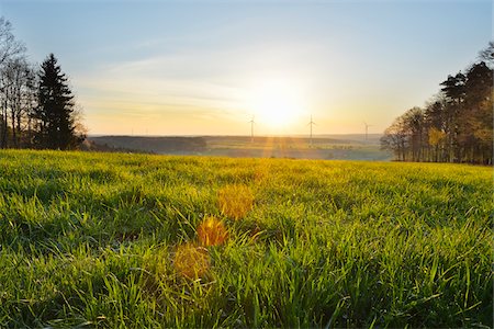 early spring - Meadow in Spring at Sunrise with Wind Turbines in background, Schippach, Miltenberg, Odenwald, Bavaria, Germany Photographie de stock - Rights-Managed, Code: 700-08225283