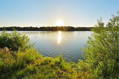 see (der) - Sunrise on Lake, Niedernberg, Miltenberg-District, Churfranken, Franconia, Bavaria, Germany Stockbilder - Lizenzpflichtiges, Bildnummer: 700-08225313