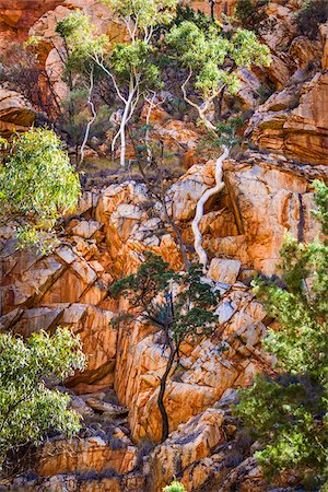 simsearch:841-09108168,k - Standley Chasm, West MacDonnell National Park, Northern Territory, Australia Photographie de stock - Rights-Managed, Code: 700-08232343