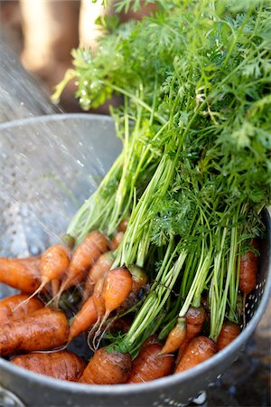 Bunch of Carrots in Metal Colander with Water being Sprayed on them Stockbilder - Lizenzpflichtiges, Bildnummer: 700-08274224