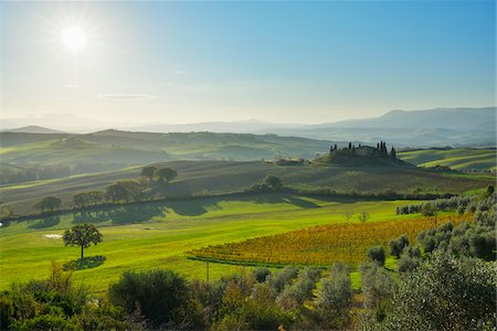 simsearch:700-08701961,k - Tuscany Countryside with Farmhouse and Sun, San Quirico d'Orcia, Val d'Orcia, Province of Siena, Tuscany, Italy Stockbilder - Lizenzpflichtiges, Bildnummer: 700-08274372