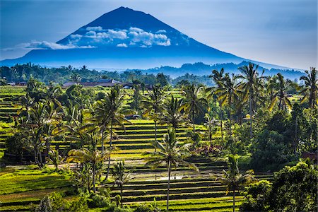 southeast asian (places and things) - Rice Terraces with Gunung Agung in the background, Jatiluwih, Bali, Indonesia Photographie de stock - Rights-Managed, Code: 700-08385912