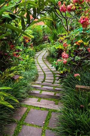 strecke (weg) - Path in Gardens in Petulu, Ubud, Gianyar, Bali, Indonesia Stockbilder - Lizenzpflichtiges, Bildnummer: 700-08385948