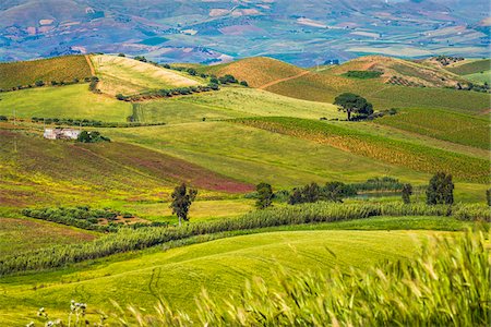 Scenic view of hills and farmland near Calatafimi-Segesta in the Province of Trapani in Sicily, Italy Stock Photo - Rights-Managed, Code: 700-08701967