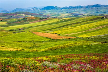 simsearch:700-08701961,k - Overview of farmland with grassy fields and crops near Calatafimi-Segesta in the Province of Trapani in Sicily, Italy Stockbilder - Lizenzpflichtiges, Bildnummer: 700-08701974