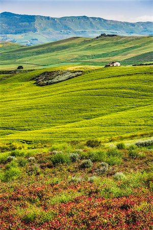 fertilité - Overview of farmland with grassy fields and farmhouse near Calatafimi-Segesta in the Province of Trapani in Sicily, Italy Photographie de stock - Rights-Managed, Code: 700-08701976