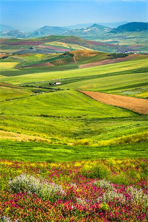 Overview of farmland with grassy fields and crops near Calatafimi-Segesta in the Province of Trapani in Sicily, Italy Foto de stock - Con derechos protegidos, Código: 700-08701977