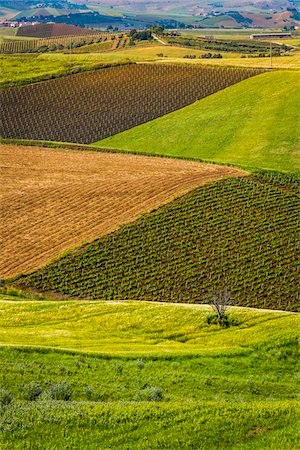 province of trapani - View of land use patterns on farmland near Calatafimi-Segesta in the Province of Trapani in Sicily, Italy Photographie de stock - Rights-Managed, Code: 700-08701973