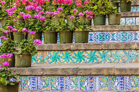 potted plants italy - La Scala di Santa Maria del Monte during Infiorata, Caltagirone, Sicily, Italy Stock Photo - Rights-Managed, Code: 700-08723188