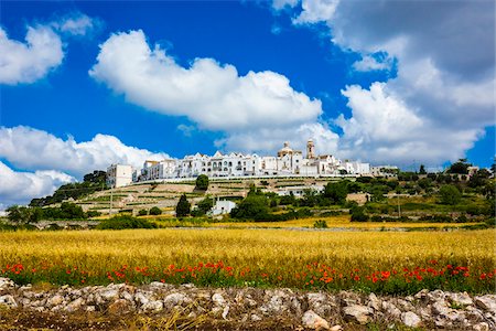 province of bari - Fields outside of Locorotondo, Puglia, Italy Stock Photo - Rights-Managed, Code: 700-08739697