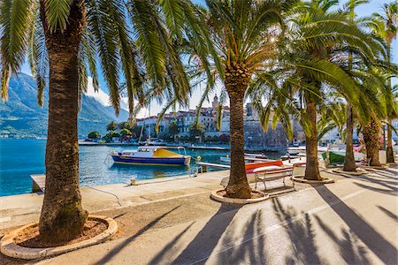 dalmatinische küste - Palm Trees by Waterfront in Korcula, Dalmatia, Croatia Stockbilder - Lizenzpflichtiges, Bildnummer: 700-08765371