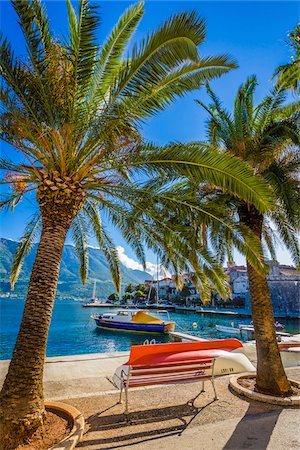 dalmatinische küste - Palm Trees by Waterfront in Korcula, Dalmatia, Croatia Stockbilder - Lizenzpflichtiges, Bildnummer: 700-08765372