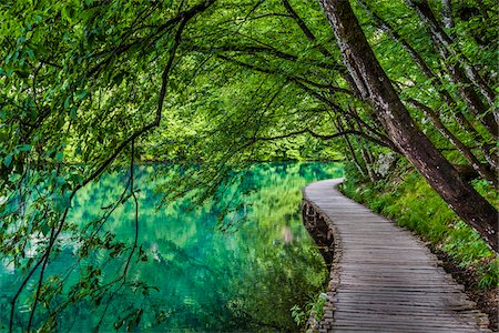 surface level - Trees hanging over a footbridge at Plitvice Lakes National Park in Lika-Senj county in Croatia Stock Photo - Rights-Managed, Code: 700-08765476