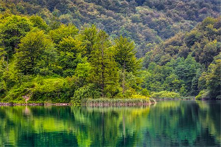 foreground space - Serene view of forest reflected in a lake at the Plitvice Lakes National Park in Lika-Senj county in Croatia Stock Photo - Rights-Managed, Code: 700-08765480