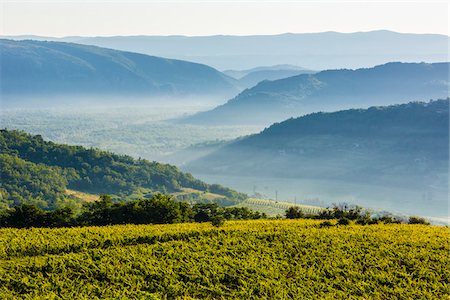 simsearch:700-08765499,k - Scenic view of farmland with hazy mountains in the background at Motovun in Istria, Croatia Photographie de stock - Rights-Managed, Code: 700-08765495