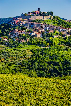 Lush vegetation and vineyards in front of the medieval, hilltop town of Motovun in Istria, Croatia Stock Photo - Rights-Managed, Code: 700-08765504