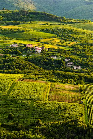 Overview of farmland and vineyards near Motovun in Istria, Croatia Photographie de stock - Rights-Managed, Code: 700-08765517