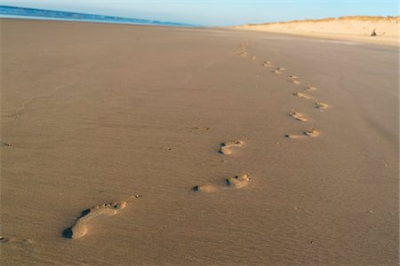 simsearch:700-08821948,k - Footprints in the sand on the beach and sand dunes at sunset with the Atlantic Ocean in the background at Royan, France Foto de stock - Con derechos protegidos, Código: 700-08821945