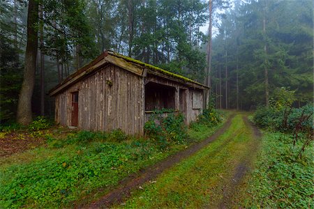 Wooden hut and dirt road in forest on a damp morning in Odenwald in Hesse, Germany Photographie de stock - Rights-Managed, Code: 700-08973486