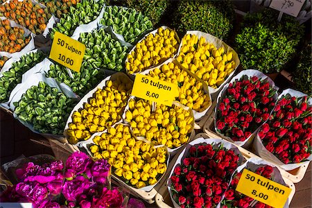 Close-up of colorful bunches of flowers for sale at the Flower Market in Amsterdam, Holland Stock Photo - Rights-Managed, Code: 700-08973530