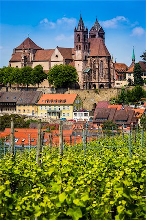 Vinyards and St Stephen's Cathedral on the hilltop at Breisach in Baden-Wurttemberg, Germany Stock Photo - Rights-Managed, Code: 700-08973575