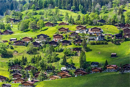 Overview of the traditional wooden houses on the mountain side village of Grindelwald in the Jungfrau Region in Bernese Oberland, Switzerland Stock Photo - Rights-Managed, Code: 700-08986145