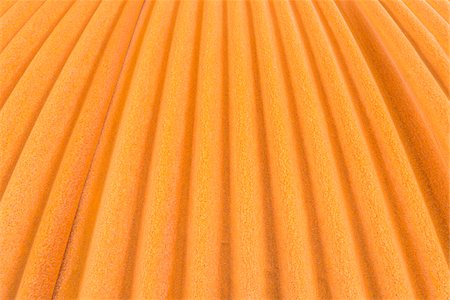 Close-up detail of a rusted corrugated iron facade of an old warehouse on the Isle of Skye in Scotland, United Kingdom Foto de stock - Con derechos protegidos, Código: 700-08986323